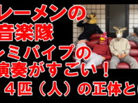 ブレーメンの音楽隊って何者?ドレミパイプの演奏がすごい!4人の正体とは